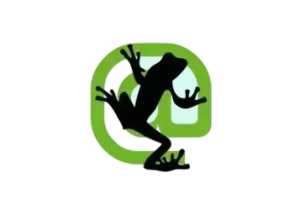 12-1-1-1-300x215-1.webp